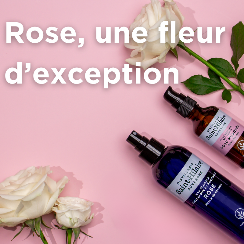 Duo soin Rose